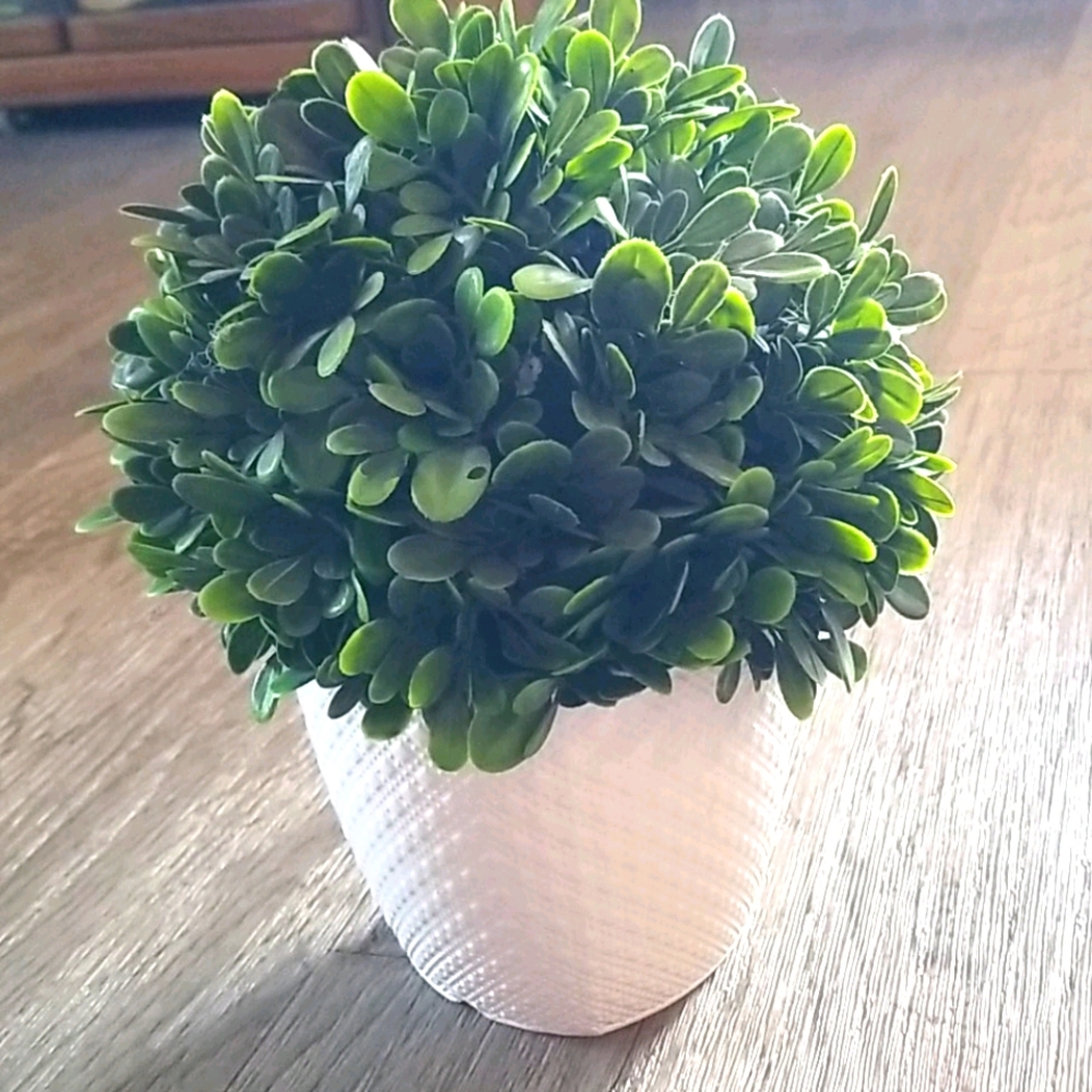 Fake plant